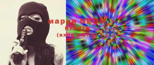 хмурый Пестово