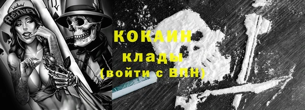 крисы Пересвет