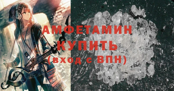 шишки Фёдоровский