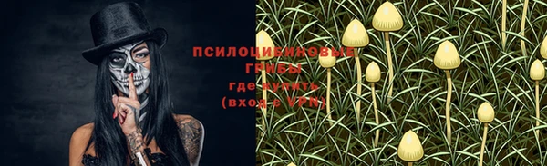 крисы Пересвет