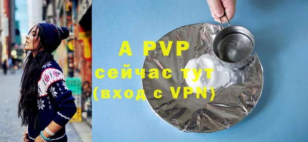 крисы Пересвет