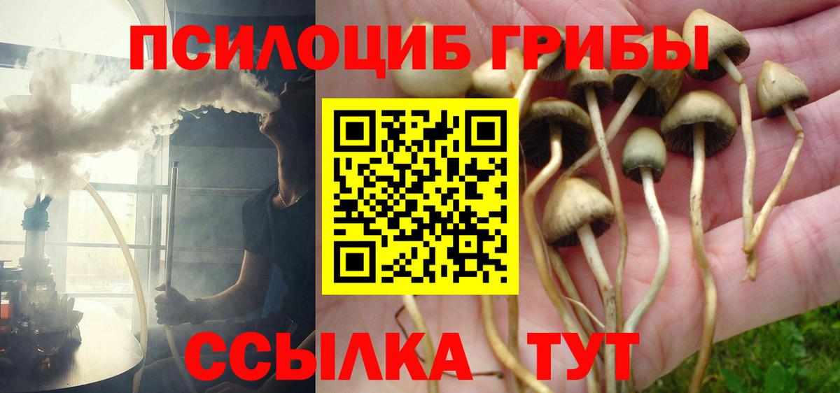 Псилоцибиновые грибы Psilocybe  Галлюциногенные грибы прущие грибы  Сердобск  Вход с VPN 