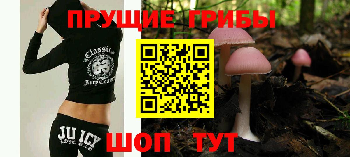 Галлюциногенные грибы GOLDEN TEACHER Сердобск